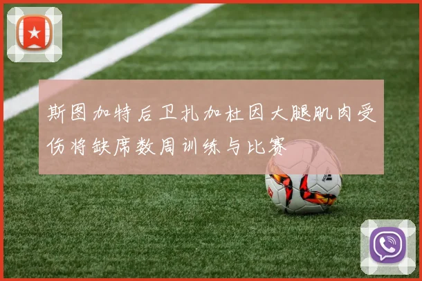斯图加特后卫扎加杜因大腿肌肉受伤将缺席数周训练与比赛