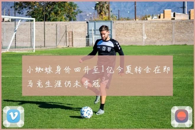 小蜘蛛身价回升至1亿今夏转会在即马竞生涯仍未夺冠